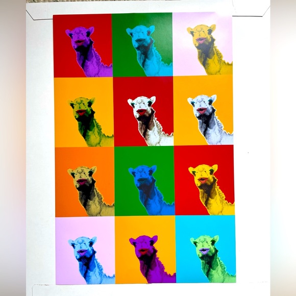 Colourful Camel 🐪 Print - Picture 1 of 9